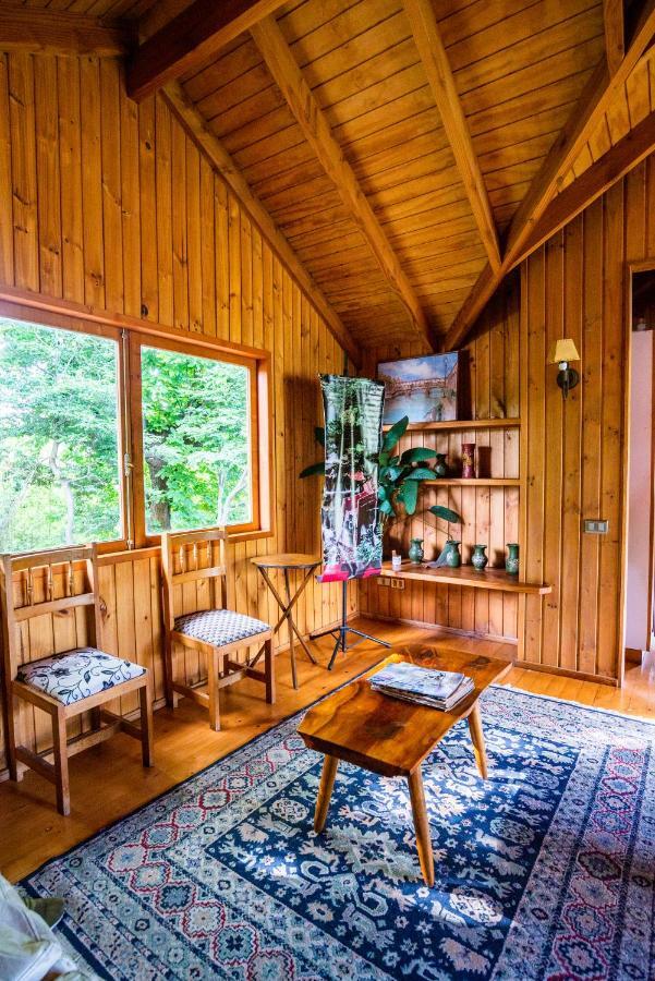 Hosteria Tricahue Pucón Zewnętrze zdjęcie